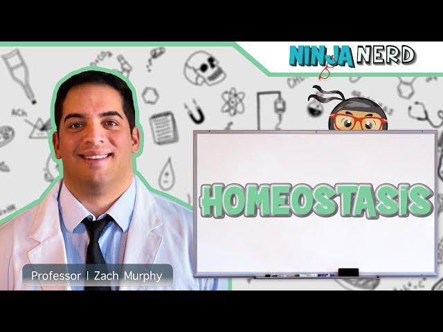 Homeostasis