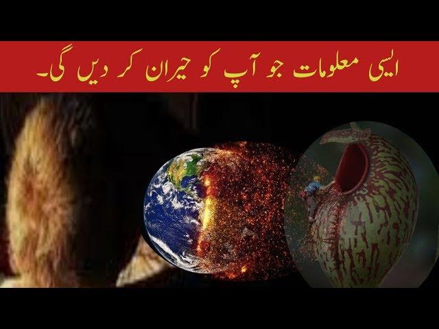 Hairat Angez Malomaat | Best Information's of the world