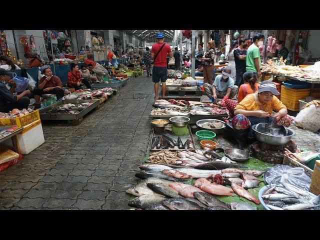 Walk Around Boeng Trabek Plaza Food Market on Morning - Activities of Vendors & Buyer in Food Market