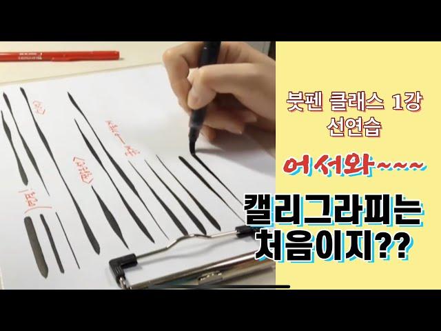 [붓펜캘리그라피] 선연습 왕초보 기초 선긋기와 붓펜사용법 ,클래스톡 1강