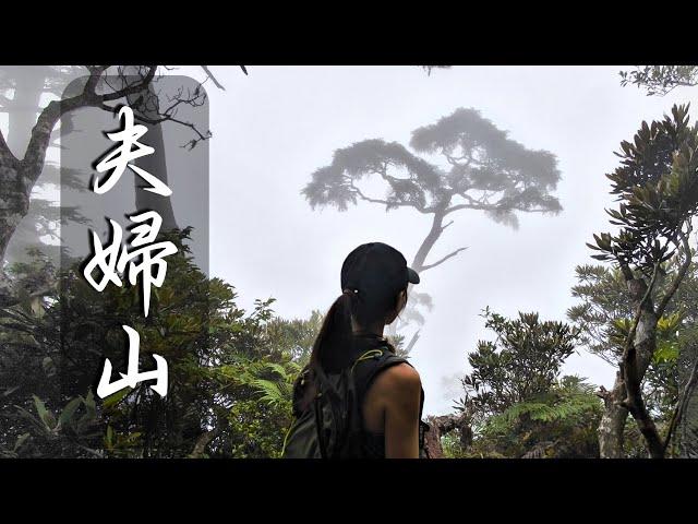 【夫婦山】沒想像浪漫啊 續“哈加縱走”第二集中級山動作片！‍️ 手腳並用 精彩絕倫 海拔1800+中級山上吹冷氣️   復興三尖