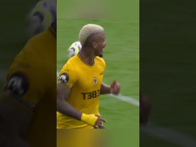 Mario Lemina Jr  Gol #4 ️ #wwfc#wolves #wolverhampton #wolvesfanworld #wolves