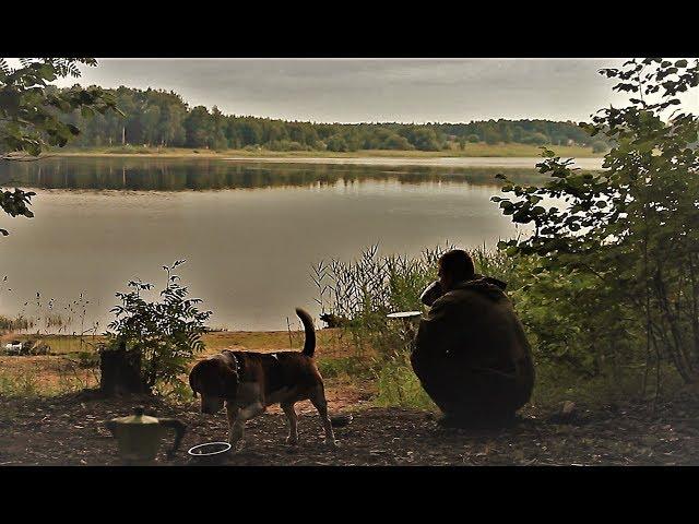 Рыбалка с Ночёвкой! Потрясающий отдых И Отличный Клёв! Шаурма На Костре!