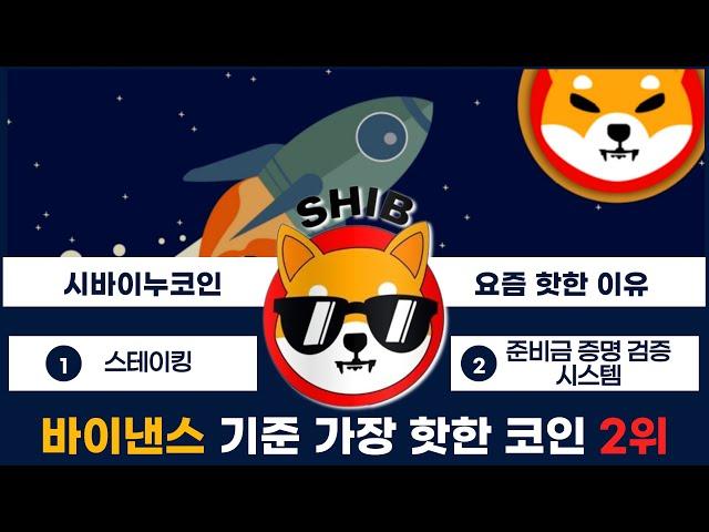 [시바이누] 바이낸스에서 전폭적으로 밀어주는 코인 시바이누 호재 정리!