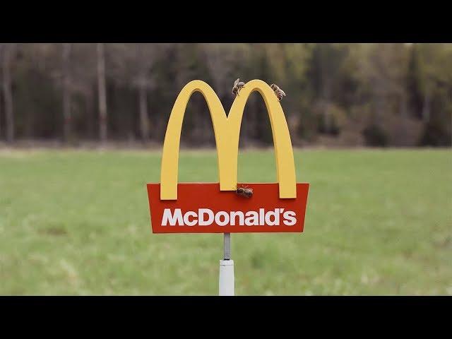 McDonalds – McHive