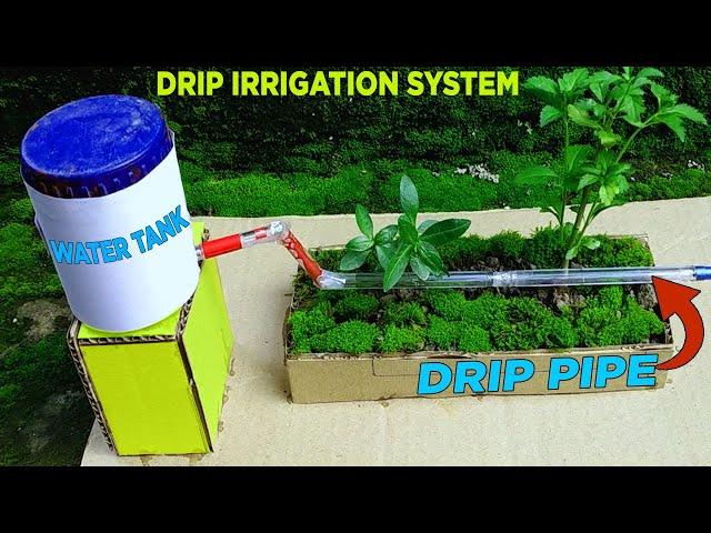 How to make a drip irrigation system working model