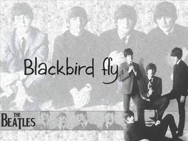 The Beatles - Blackbird (lyrics)