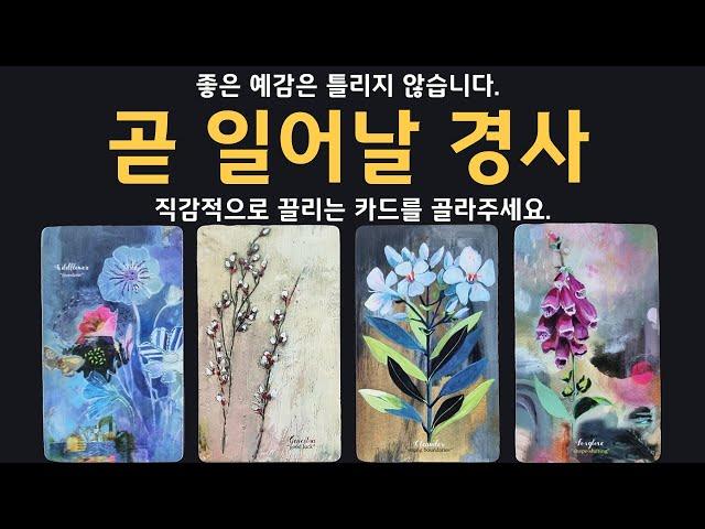 [타로] 좋은 예감이 강하게 든다, 곧 일어날 경사 