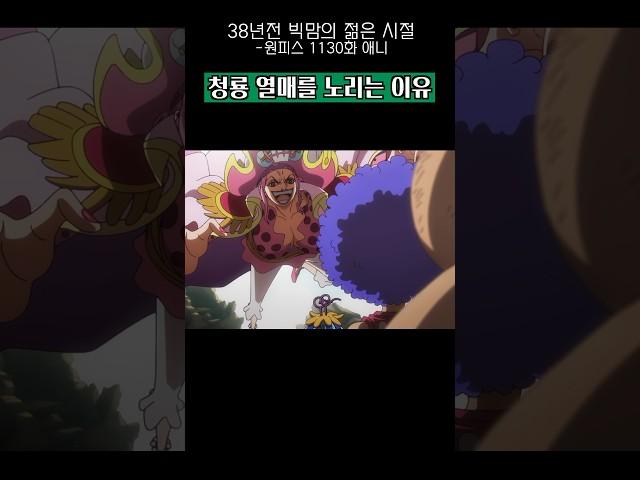 38년전 록스해적단 빅맘이 청룡 열매를 노리는 이유 #원피스