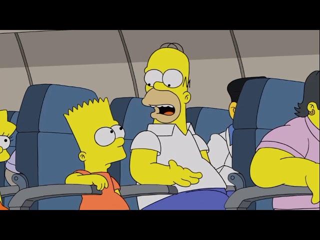 The Simpsons go to Gainesville