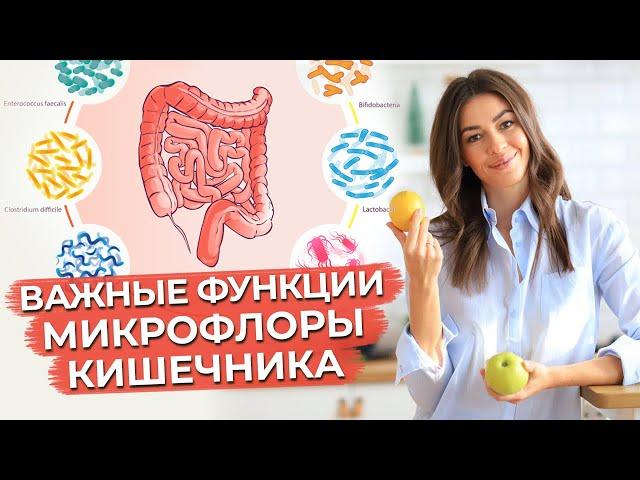 Что такое микрофлора кишечника? / Почему происходит нарушение микрофлоры кишечника?