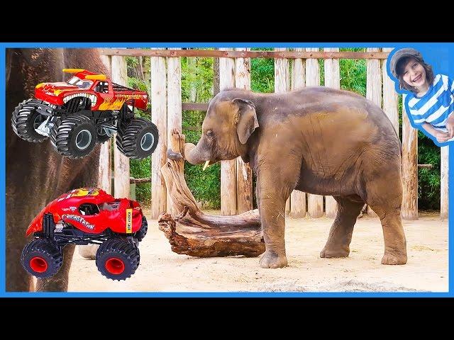 Monster Trucks Visit Zoo Animals!