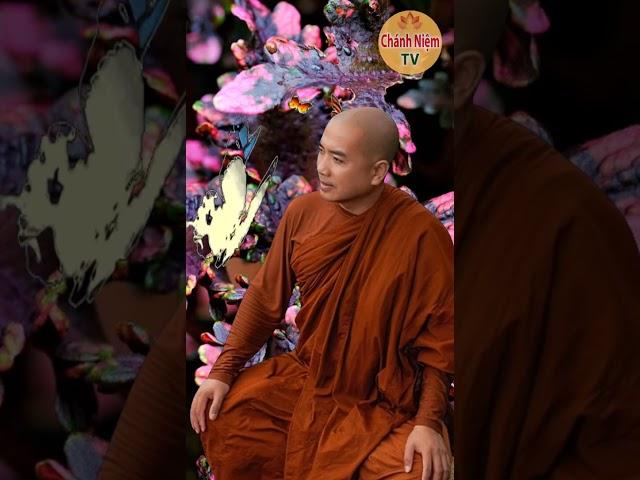 Nhìn Đời Bằng Tâm Không Bám Chấp I Thầy Minh Niệm