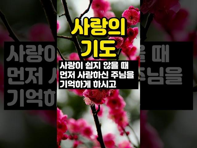 사랑의 기도 / 하나님의 사랑 / 기도 / 사랑이 많으신 하나님