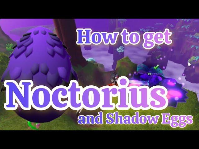 How to Get *New* Noctorius Shadow Dragon in Dragon Adventures!