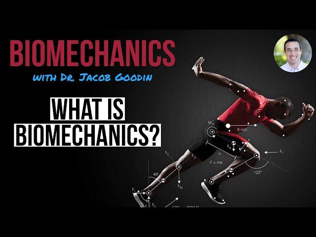 What is Biomechanics?