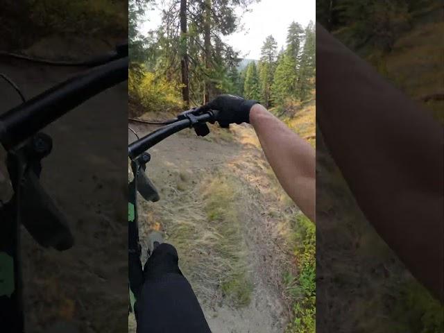 Technical rock roll and riding under a downed tree!