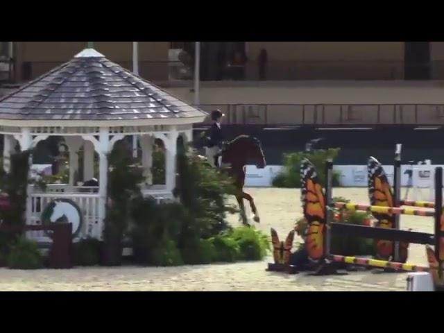 Hailey Royce and Opus One BC - 6th Low Junior Jumpers at SFHJA Charity