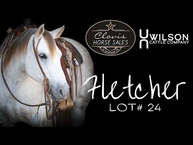 "Fletcher" - Wilson Cattle Co x Clovis Horse Sale