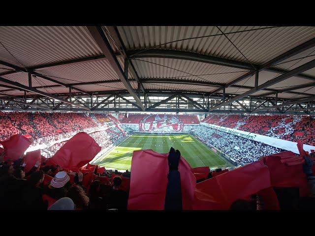 1. FC Köln Hymne and 75th birthday Choreography Vs. VfL Wolfsburg