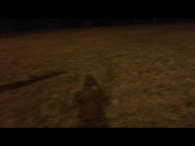 Fireworks Livestream (featuring Pimpdaddee28)