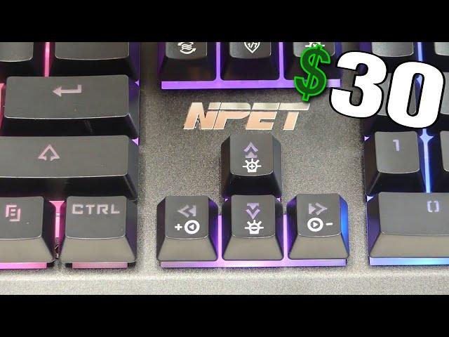 NPET - P010 Gaming Keyboard (RGB) Review/Unboxing!