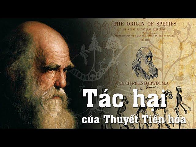 Tá.c  h.ại  của Thuyết Tiến hóa