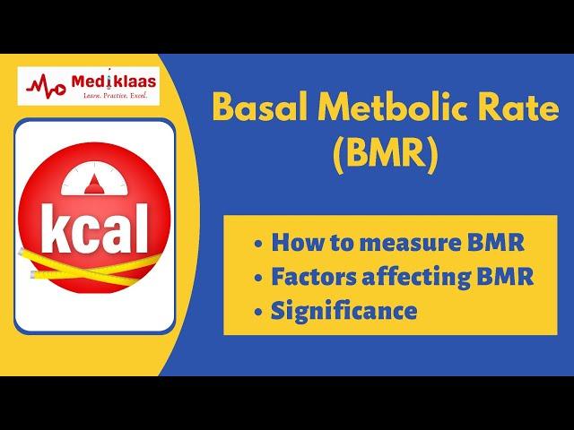 Basal Metabolic Rate (BMR) I Factors affecting BMR I Biochemistry I Mediklaas