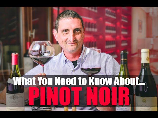 Everything You Need to Know About Pinot Noir