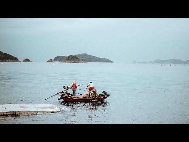 Why we need both farmed and wild seafood