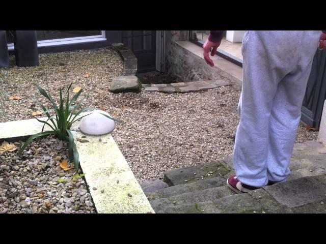 Parkour / Urban Move - Martin Jarry