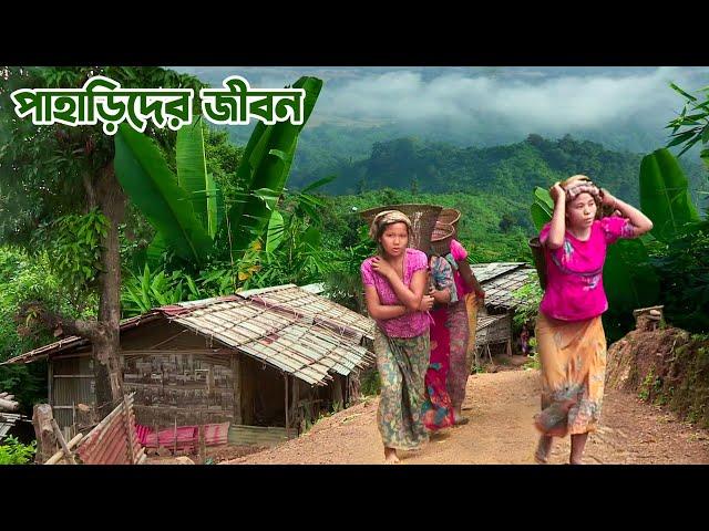 বান্দরবানের পাহাড় ও পাহাড়িদের জীবন || Enchanting Hilly Lifestyle Bandarban