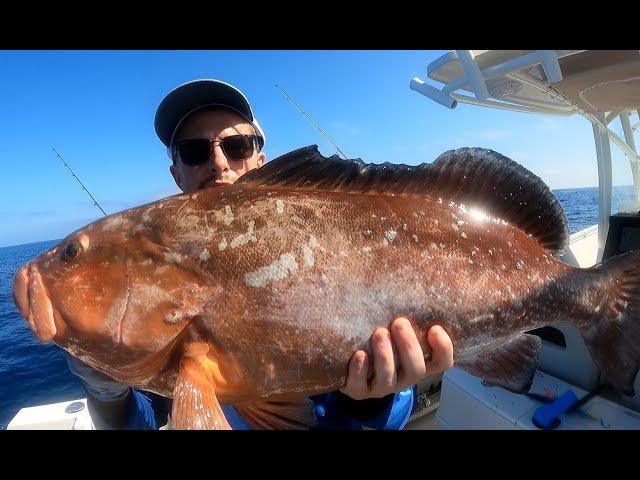 Florida Red Grouper Fishing Regulations for 2024! + How to Find & Catch Red Grouper