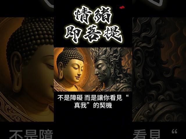 情緒即菩提：超越三界五行的修行秘法 #開悟 #覺醒
