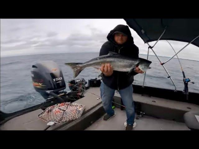 Salmon Slammin Lake Michigan 6-23-24