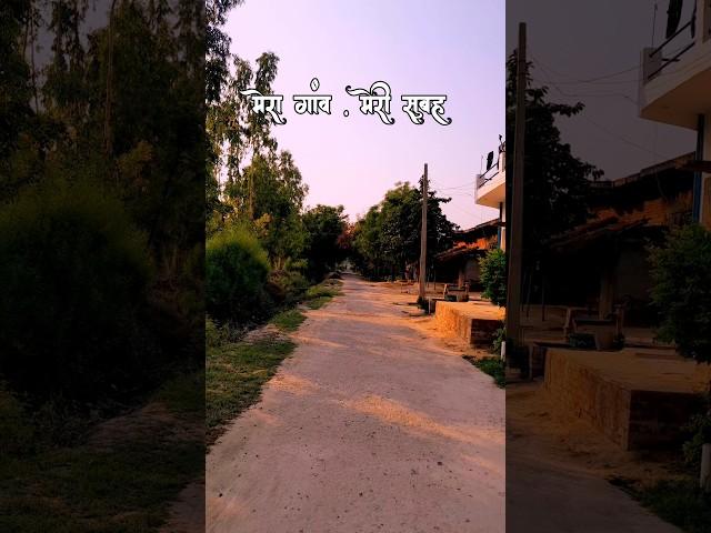 मेरा गांव मेरी सुबह desi clips with brij  #villagelife#vlog#DesiLife#VillageVlos #BrijKishor #short
