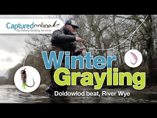 Winter grayling fly fishing on the River Wye, Mid-Wales