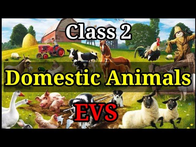 Domestic Animals | Animals that help us | Farms Animals | EVS Class 2 | Part 1