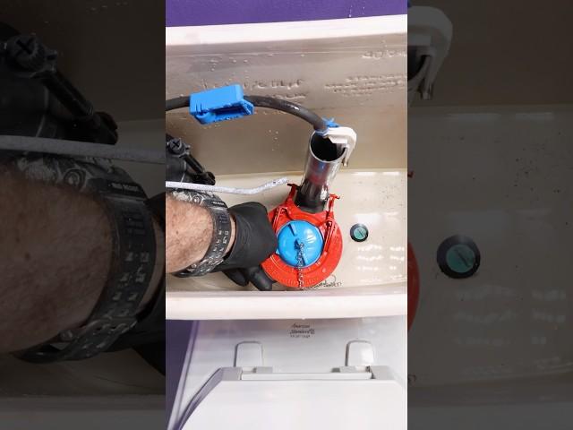 How to Install Fluidmaster Super Flapper - #shorts #homerepairtutor