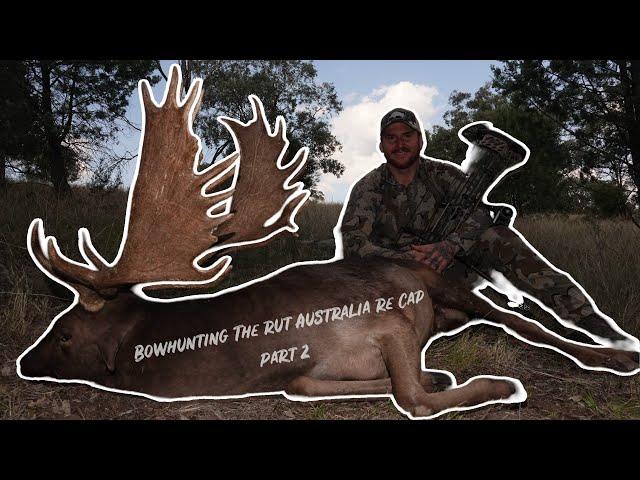 Bowhunting The Rut Australia 2024 - Re Cap ( Part 2 )