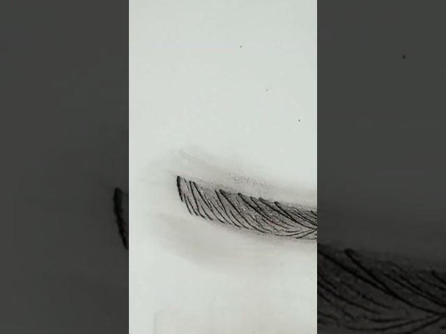 #microblading #treinofioafio#shadowline