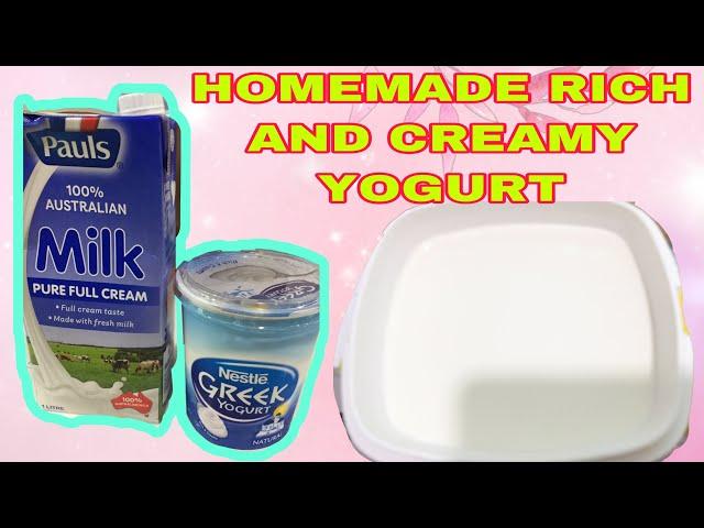 HOW TO MAKE HOMEMADE RICH AND CREAMY YOGURT?/Ammage 8026