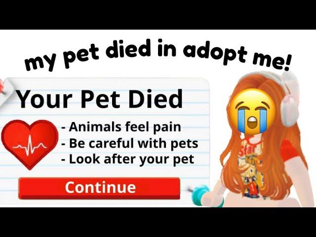 PETS CAN DIE IN ADOPT ME?