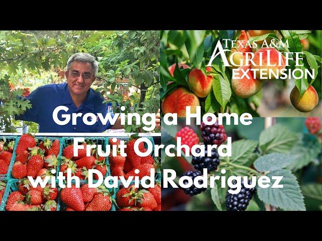 Growing a Home Fruit Orchard with David Rodriguez