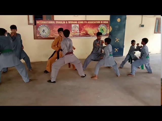 SHAOLIN Y WUDANG KUNGFU