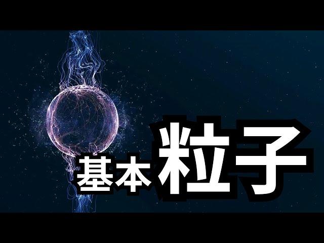 宇宙中最小的粒子，基本粒子 | 爱丽丝与兔子洞 Alice & Rabbit Hole