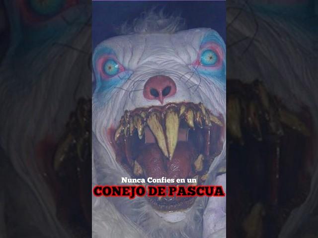 Nunca Confíes en el Conejo de Pascua 🪚