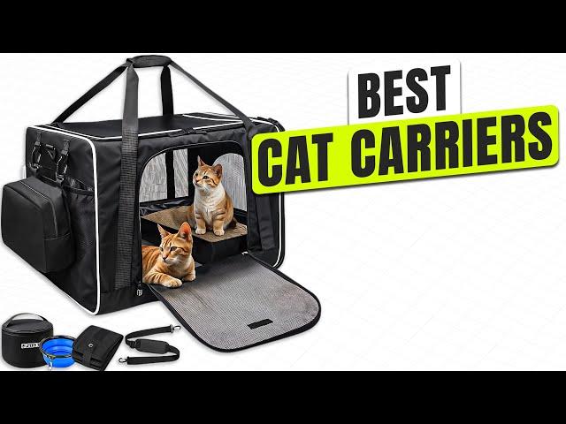 3 BEST Cat Carriers