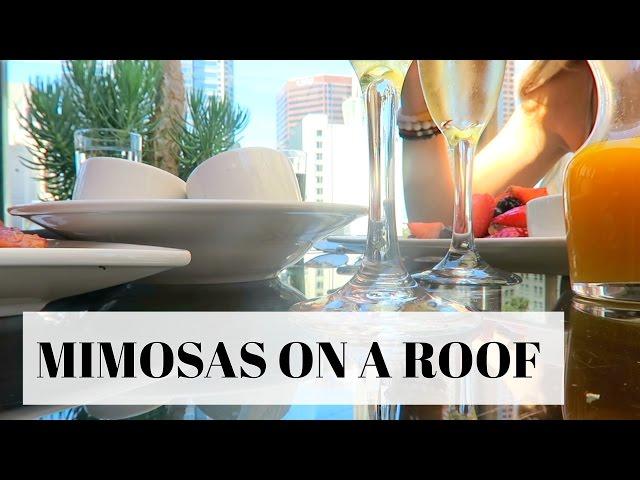 MIMOSAS ON A ROOF | DailyPolina