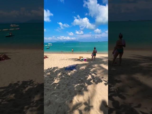 Tropical Paradise Awaits  | Koh Samui's Bophut beach#shorts #thailand #kohsamui #travel